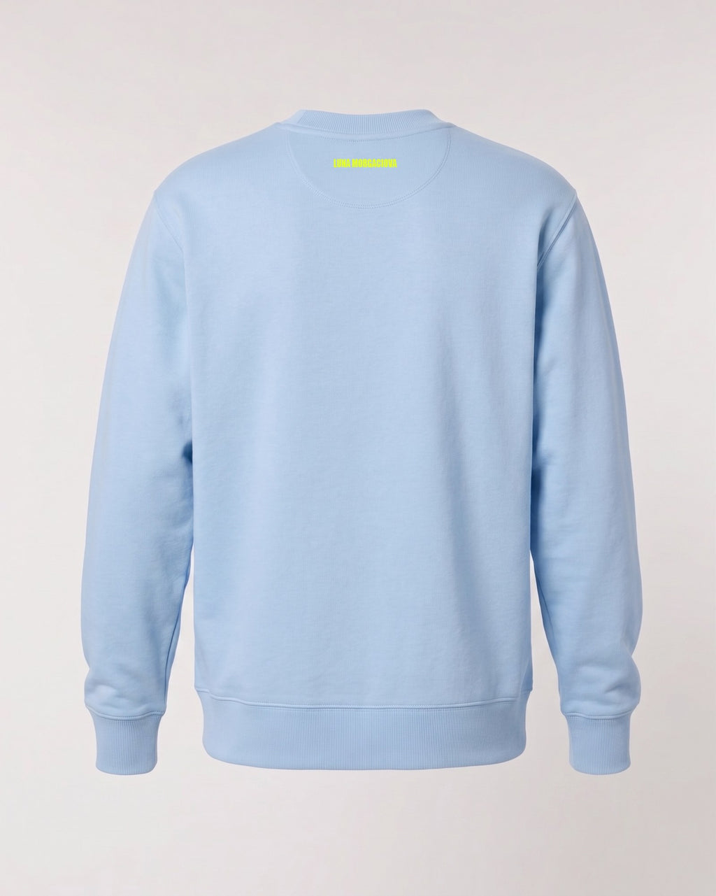 NDTW Sweatshirt — Baby Blue