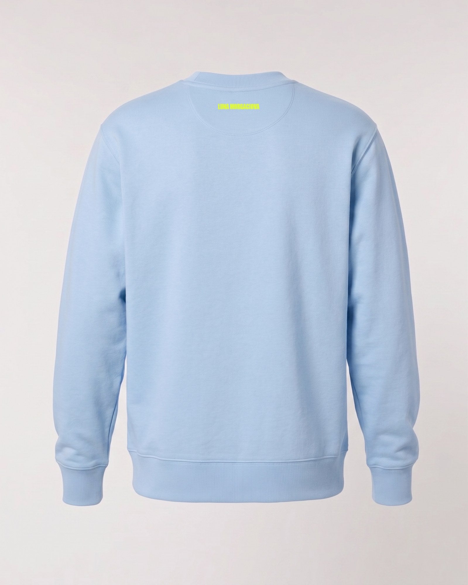 NDTW Sweatshirt — Baby Blue